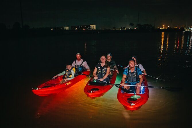 LED Bio Comb Jelly Clear Bottom Kayak or Paddleboard Tour! - The Value and Practicalities