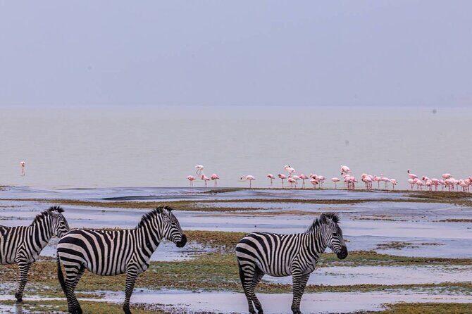 Leopard Luxury Safari in Tanzania - What Travelers Say