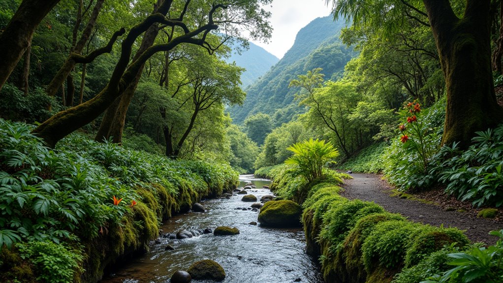 levada trails and botanical gardens