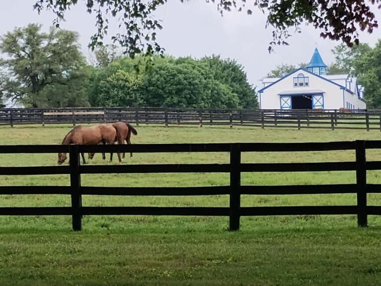 Lexington: Thoroughbred Horse Farm Tour and Scenic Bluegrass - Who Should Consider This Tour?