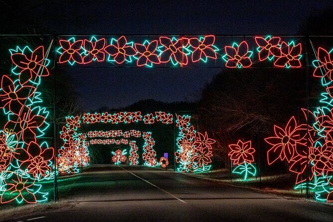 LIghts of Joy Christmas Light Drive-Thru - The Reviews: A Balanced Perspective