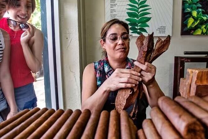 Little Havana Walking Tour + 1 Hour Everglades Airboat Ride - Who Will Enjoy This Tour?