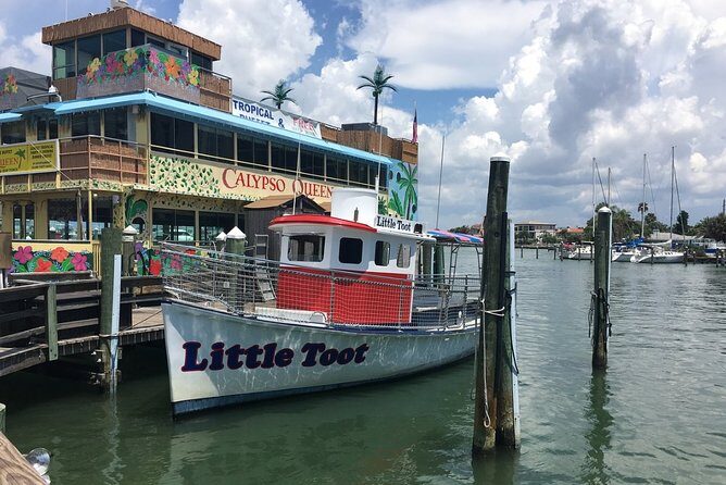 Little Toot Dolphin Adventure at Clearwater Beach - Authentic Guest Perspectives