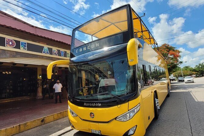 Live the Cancun City Experience! Round Transportation from Cancun - Who Should Consider This Tour?