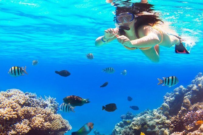 Live this unique snorkeling experience. El Cielo in Cozumel a magical tour. - The Value of Guided Reef Snorkeling