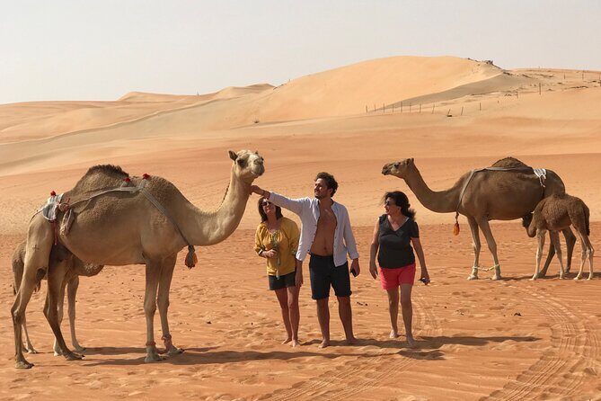 Liwa Full Day Desert Safari (exploring) - Detailed Breakdown of the Itinerary