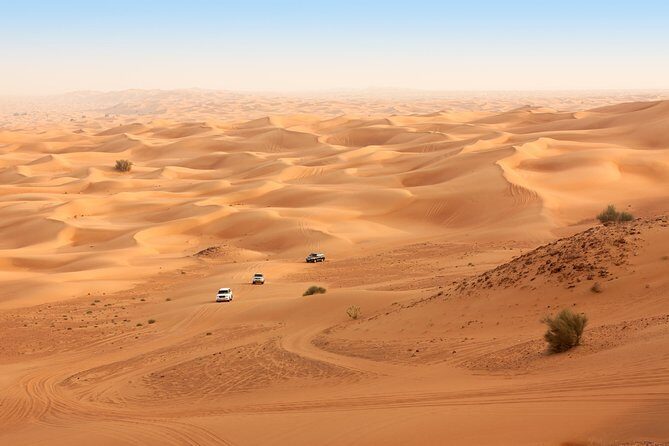 Liwa Full Day Desert Safari from Abu Dhabi - Why This Tour Offers Great Value