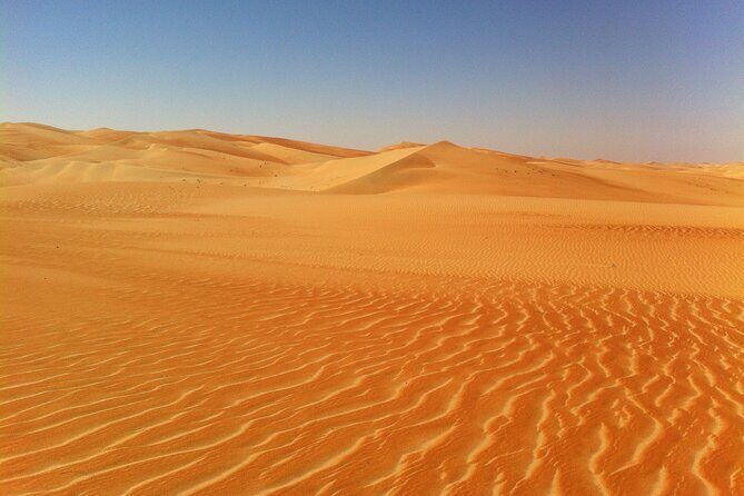 Liwa Over Night Safari - The Itinerary: A Detailed Look