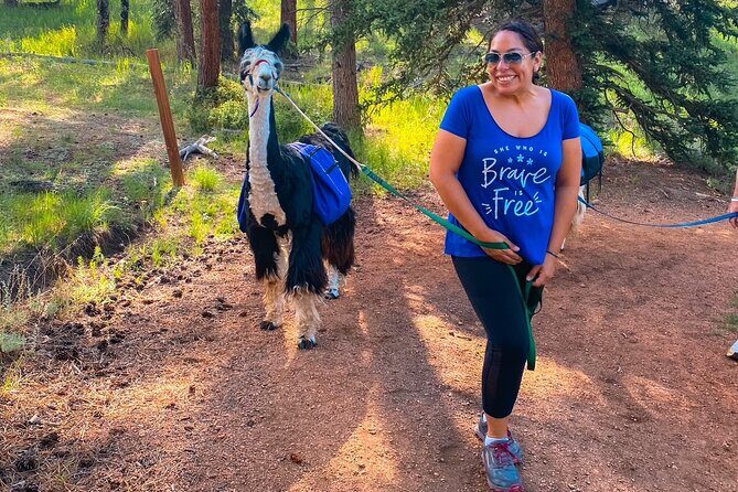 Llama to Lunch in the Rocky Mountains - Practical Details: What to Expect