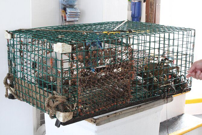 Lobstering Eco Tour - The Itinerary and What to Expect