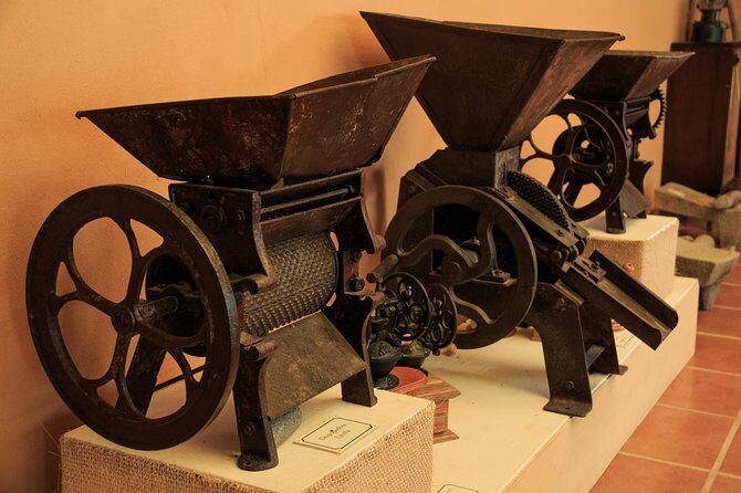 Local Coffee Tasting and Cultural Experience - In-Depth Look at the Tour Itinerary