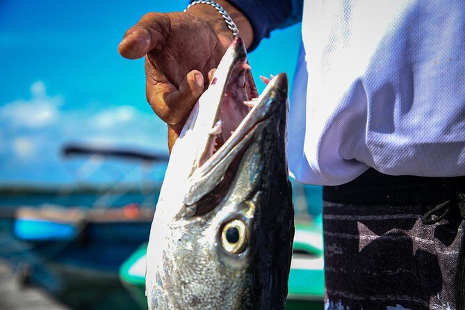 Local Fishing Plus Snorkeling Tour in Isla Mujeres - Who Is This Tour Best For?