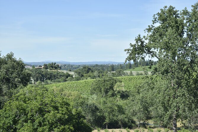 Lodi wine tasting tours Customized private 1 to 14 passenger