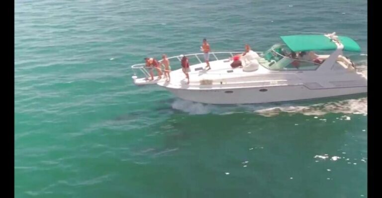 Long Beach: 2-Hour Private Group Yacht Cruise - What Travelers Say: Authentic Feedback