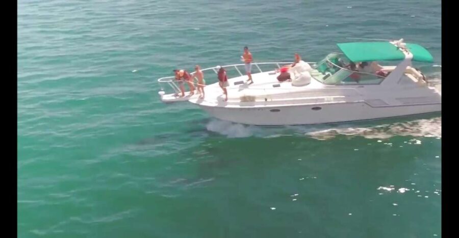 Long Beach: 2-Hour Private Group Yacht Cruise - What Travelers Say: Authentic Feedback