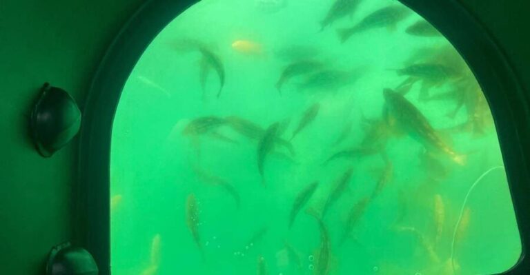 Long Beach: Glass Bottom Boat Harbor Ecotour - What the Reviews Say