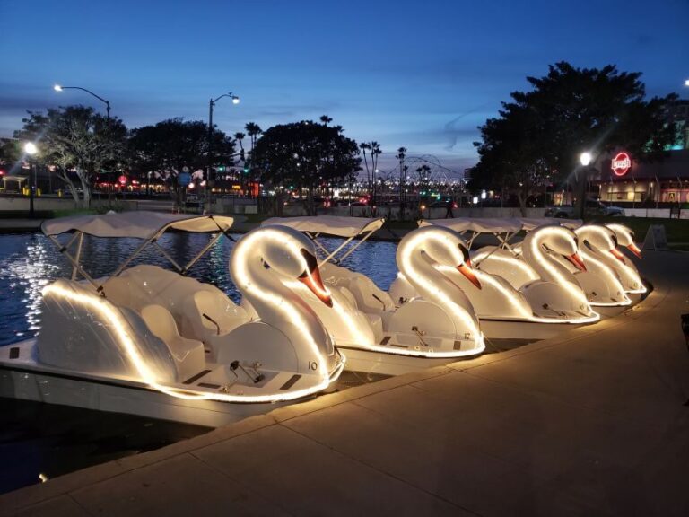Long Beach: Swan Boat Rental at Rainbow Lagoon - Possible drawbacks: