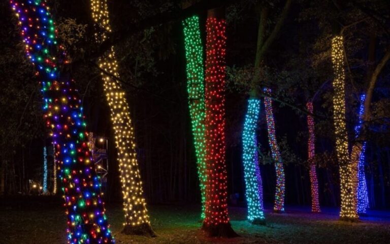 Longwood Gardens Holiday Lights Tour from Philadelphia - How the Day Unfolds