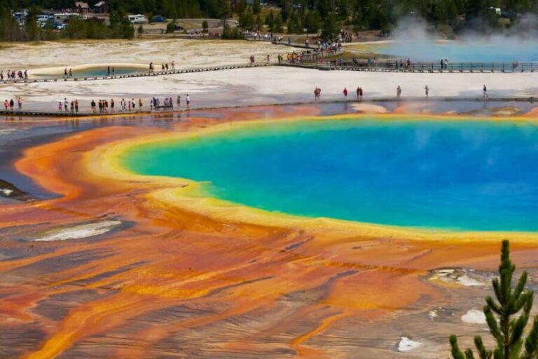 Los Angeles: 8-Day Antelope and Yellowstone Tour - What the Tour Includes and What to Consider