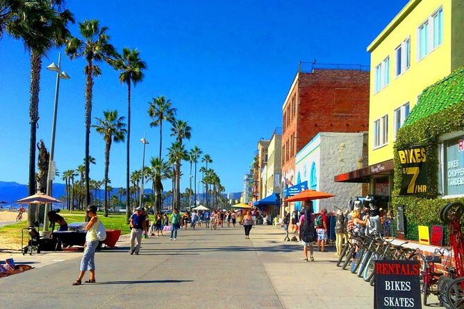 Los Angeles Coast and Beaches Private Tour - What You Can Expect