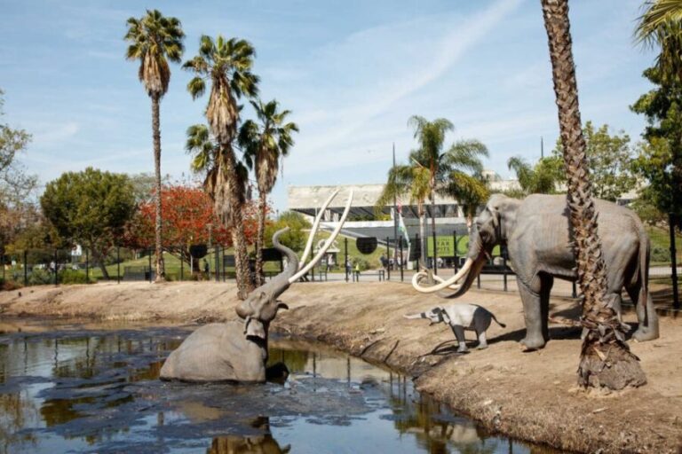 Los Angeles: La Brea Tar Pits Museum Ticket - What the Ticket Includes and What to Expect