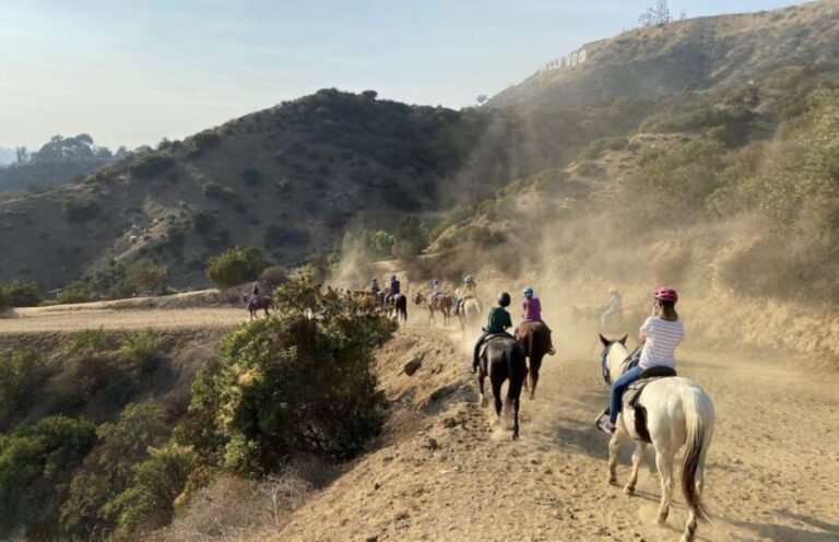 Los Angeles: Mulholland Trail Horseback Riding Tour - What to Expect During the Ride