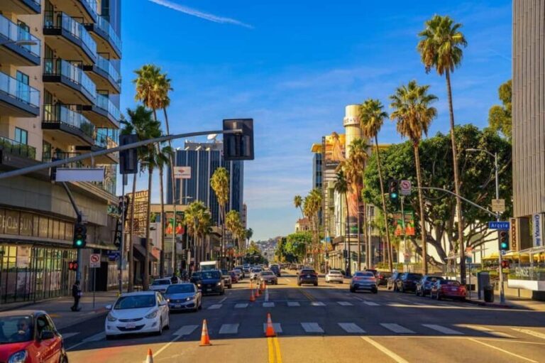 Los Angeles: Private Full-Day or Half-Day City Tour - The Value of a Private Experience