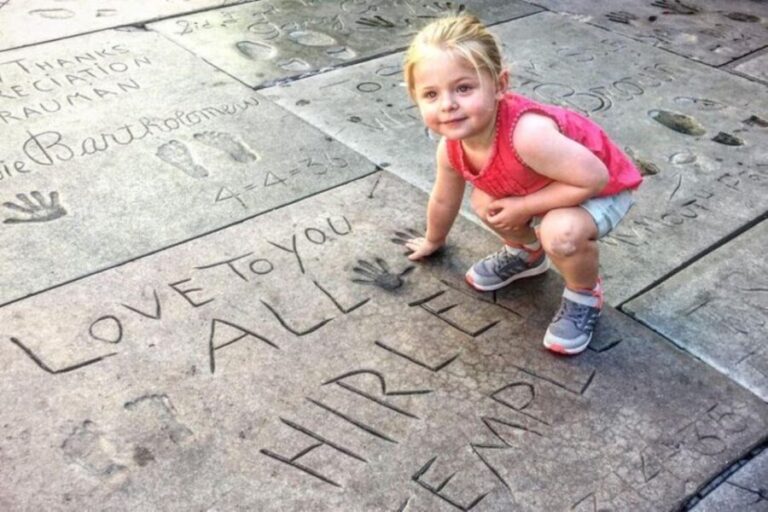 Los Angeles: Private Half Day City Tour - A Walk Through the Hollywood Highlights