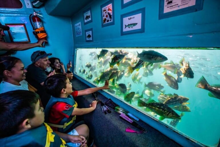 Los Angeles: Redondo Beach Glass Bottom Boat Cruise - What to Expect from the Redondo Beach Glass Bottom Boat Cruise