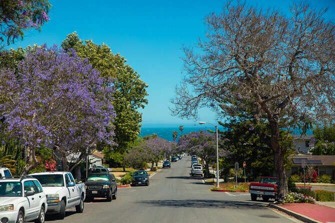 Los Angeles - Santa Barbara: Premium Chauffeur Transfer - Los Angeles - Santa Barbara: Premium Chauffeur Transfer Review