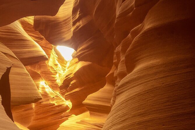 Los Angeles to Las Vegas Yellowstone National Park 7 Day Tour - Who Should Consider This Tour?