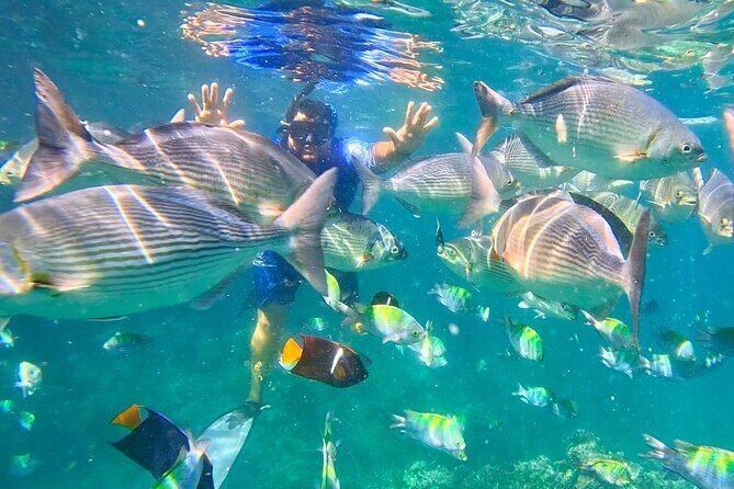 Los Arcos 5 islands Snorkeling Cliff Jumping and Hidden Beach - What’s Included and What’s Not