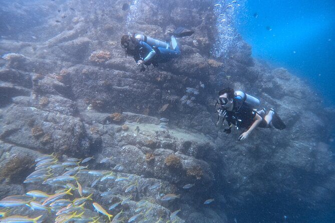 Los Cabos 1 tank dive to Lands End (Certified Divers) - Why This Dive Tour Stands Out