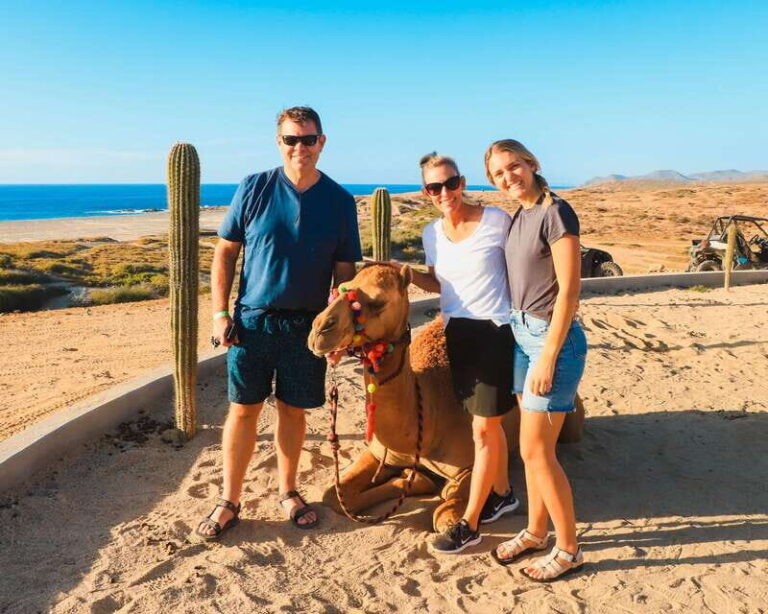 Los Cabos: 2 in 1 Combo Tour - Authentic Experiences and Traveler Feedback