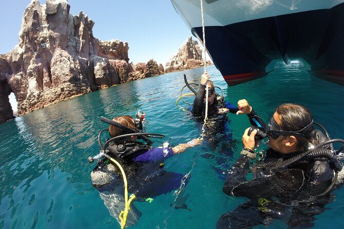 Los Cabos 2 tanks dive to The Corridor (Certified divers) - Is This Tour Worth It?