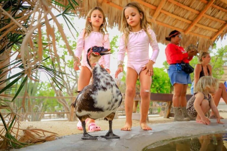 Los Cabos: Animal Encounter & Aqua Park Adventure - Is This Tour Worth It?