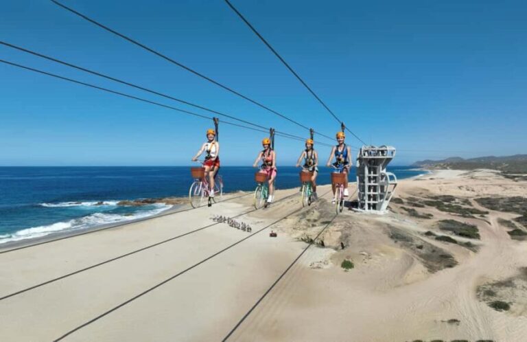 Los Cabos: Cactus Day Pass - Embracing the Adventure: What the Tour Offers