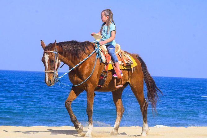 Los Cabos - COMBO Horseback Riding & ATV Tour - What Do the Reviews Say?
