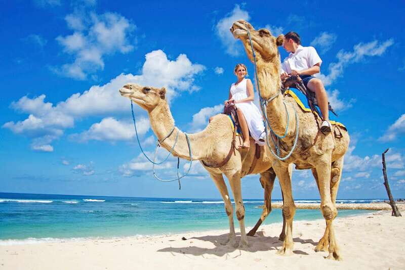 Los Cabos: Desert & Sea Camel Safari Tour with Lunch - The Value and Practicalities