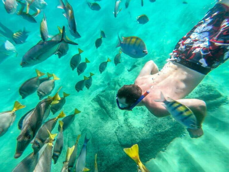 Los Cabos: El Arco, Chileno Beach, and Tequila Tasting Tour - Why This Tour Works — And Who It’s For