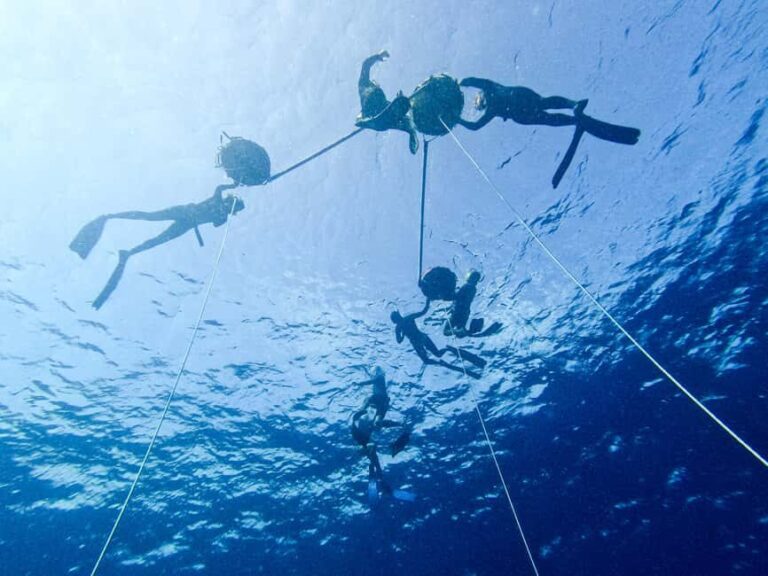 Los Cabos: freediving sessions - Who Should Consider This Experience?