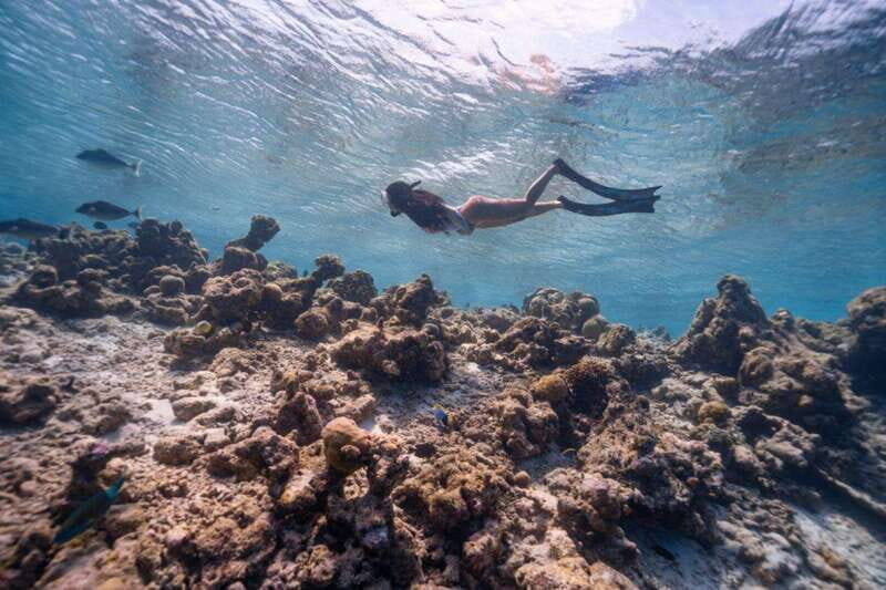 Los Cabos: Glass-Bottom Kayak and Snorkel Tour at Two Bays - An Overview of the Tour Experience