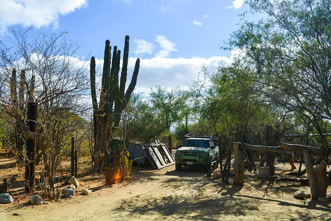 Los Cabos: Hiking at the Fox Canyon with Waterfall