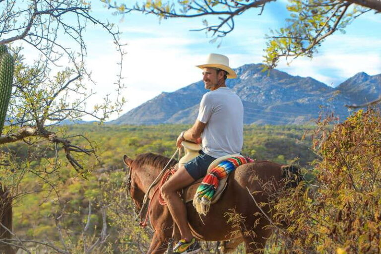 Los Cabos: Horseback Riding in Canyon a Mexican Experience - The Ride: From Canyon Heights to Oasis Tranquility