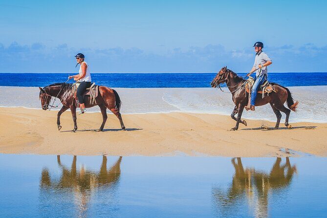Los Cabos Horseback Riding - Exploring the Itinerary: What Should You Expect?