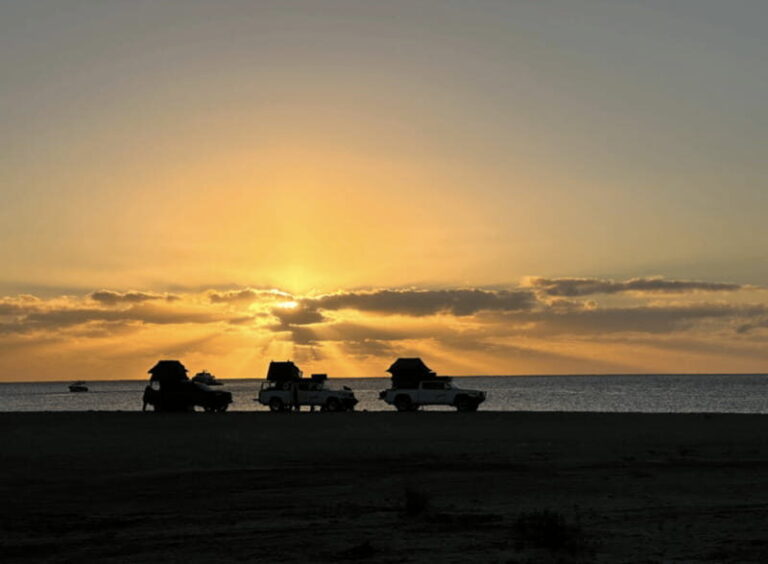 Los Cabos: Immersive 3-Day Desert Adventure - Exploring Baja’s Unique Landscapes