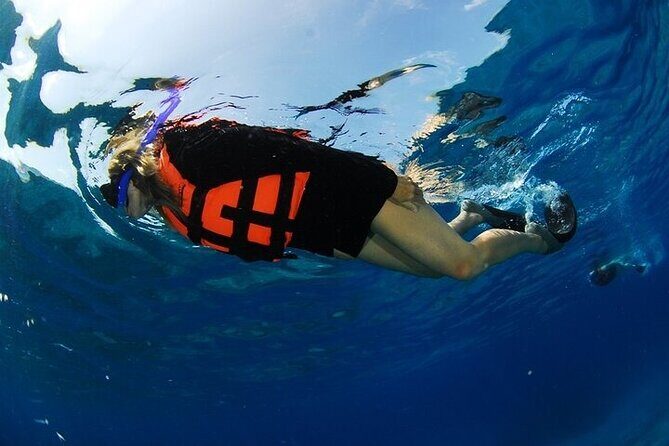 Los Cabos Platinum Snorkel Experience - What Travelers Say