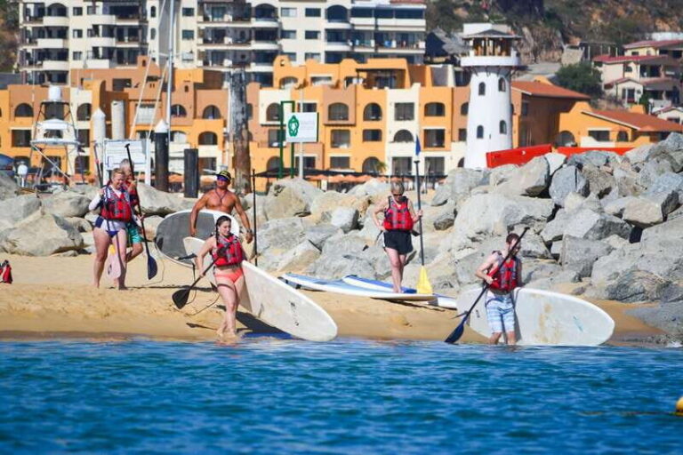 Los Cabos: Private Paddleboarding and Snorkeling Tour - Analyzing the Value