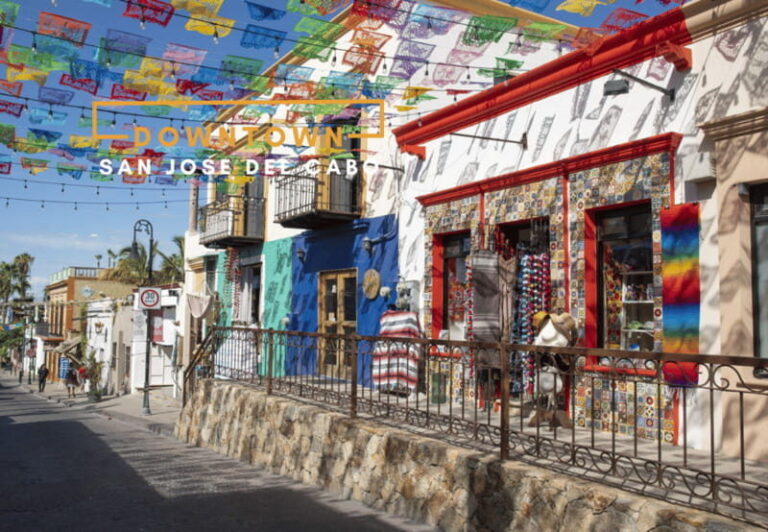 Los Cabos: San Jose del Cabo and Cabo San Lucas Tour - The Practicalities: What You Need to Know
