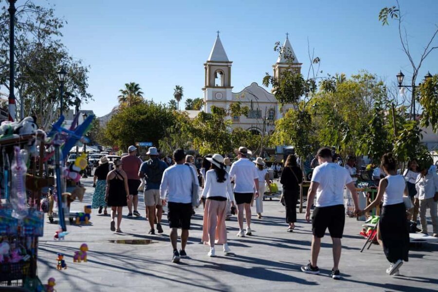 Los Cabos: San Jose del Cabo Art Walk and Beer Tasting Tour - Is It Worth the Price?